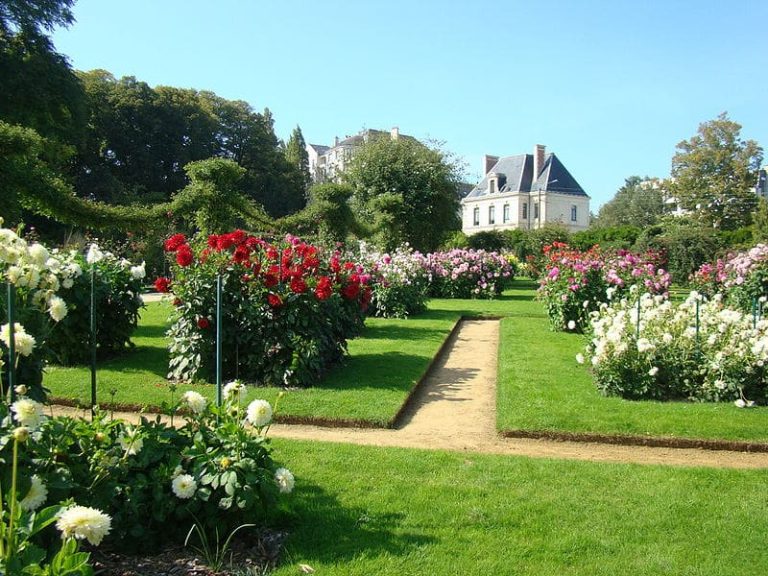 amenagement un jardin sous bois