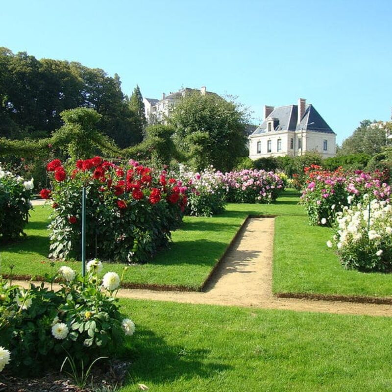 Aménagement d’un jardin sous-bois : tout ce qu’il faut savoir