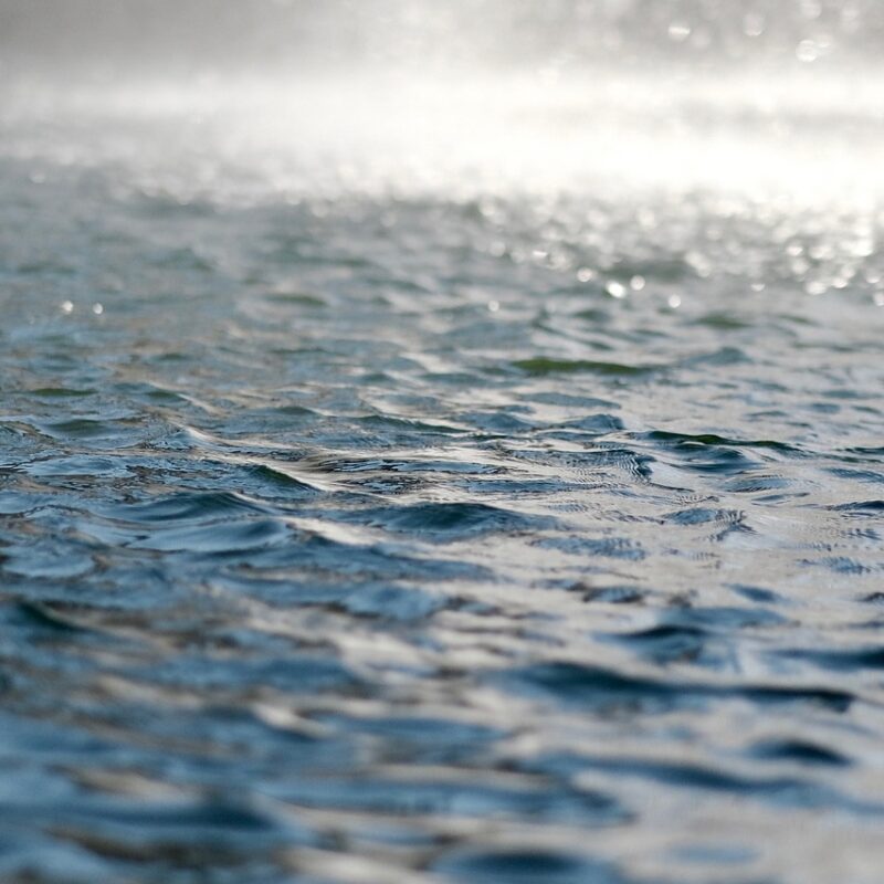 Qu’est-ce qu’un collecteur d’eau de pluie ?