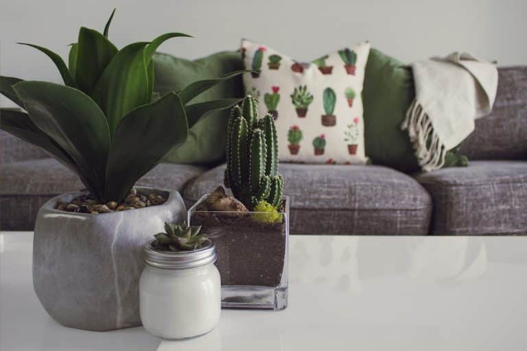 achat deco boutique physique ou internet